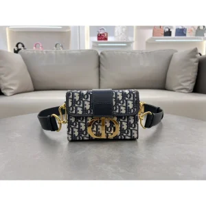 Oblique CD-Clasp Pouch Bag