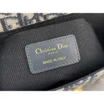 Oblique CD-Clasp Pouch Bag