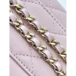Pink Chain Vanity Case Bag