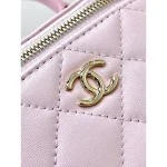 Pink Chain Vanity Case Bag