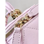 Pink Chain Vanity Case Bag