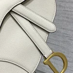 Saddle-Bag-White