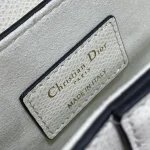 Saddle-Bag-White